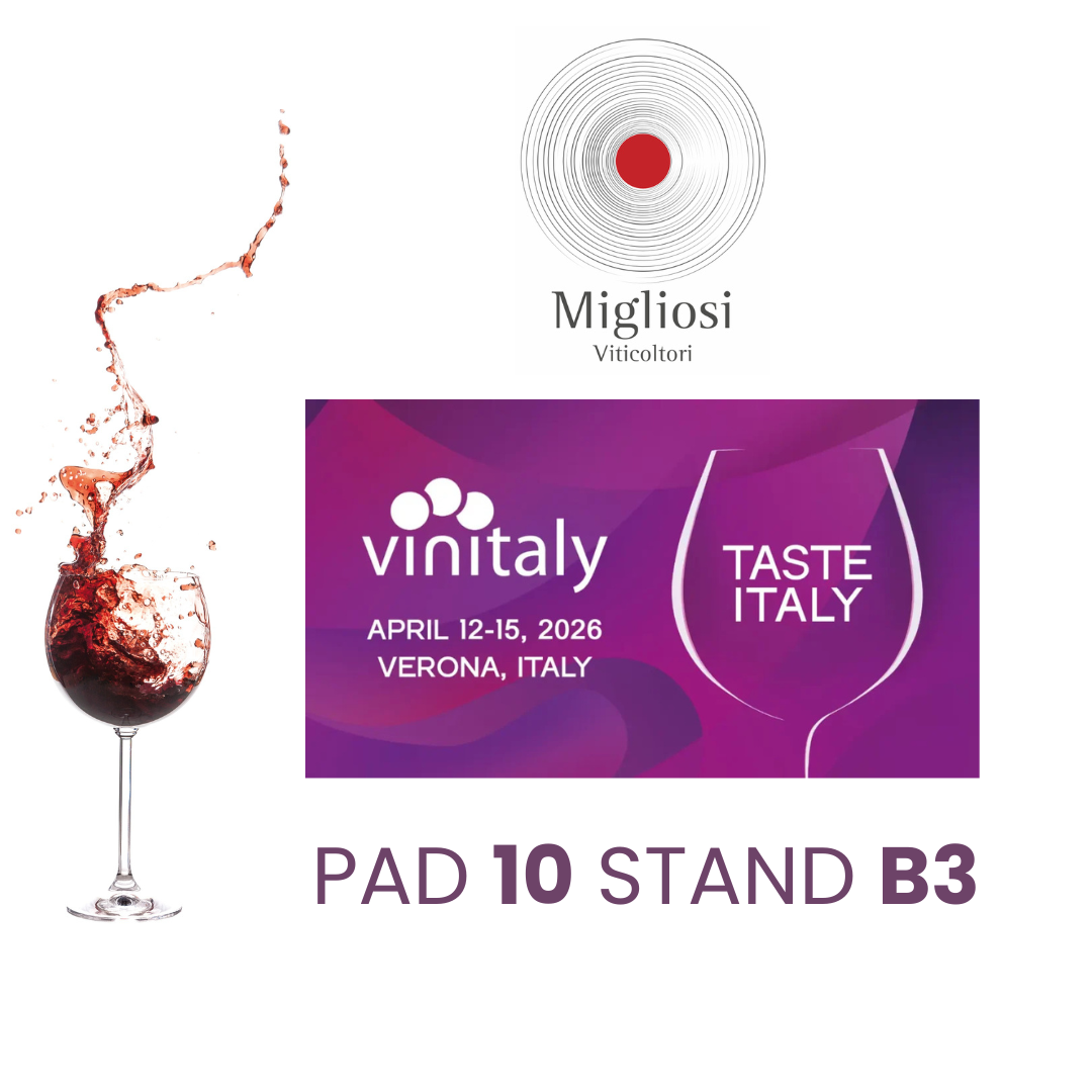 popup_vinitaly